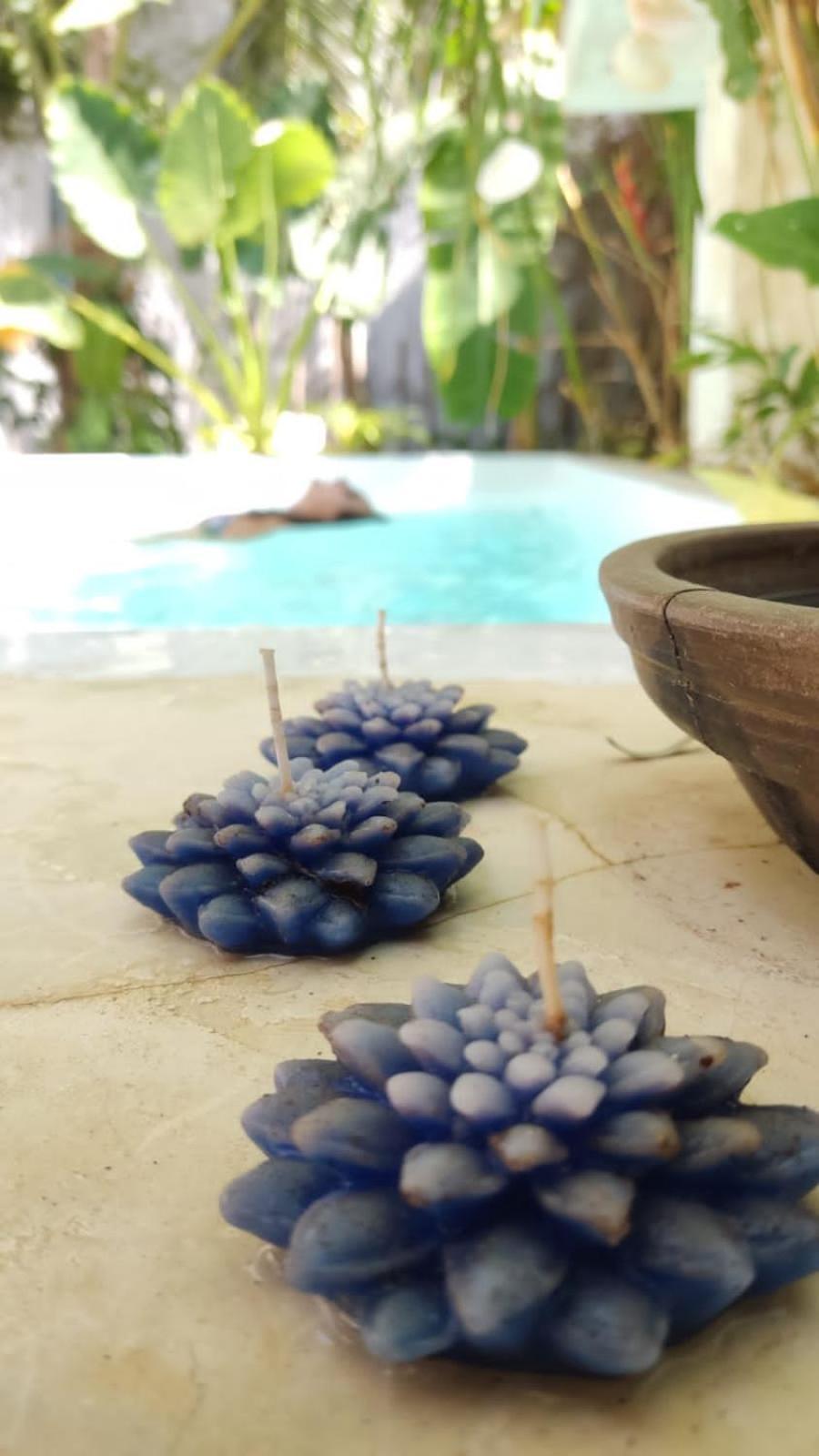 Chale Da Sereia Apart-Hotel Com Cozina Piscina Oasis No Centro De Jericoacoara 外观 照片