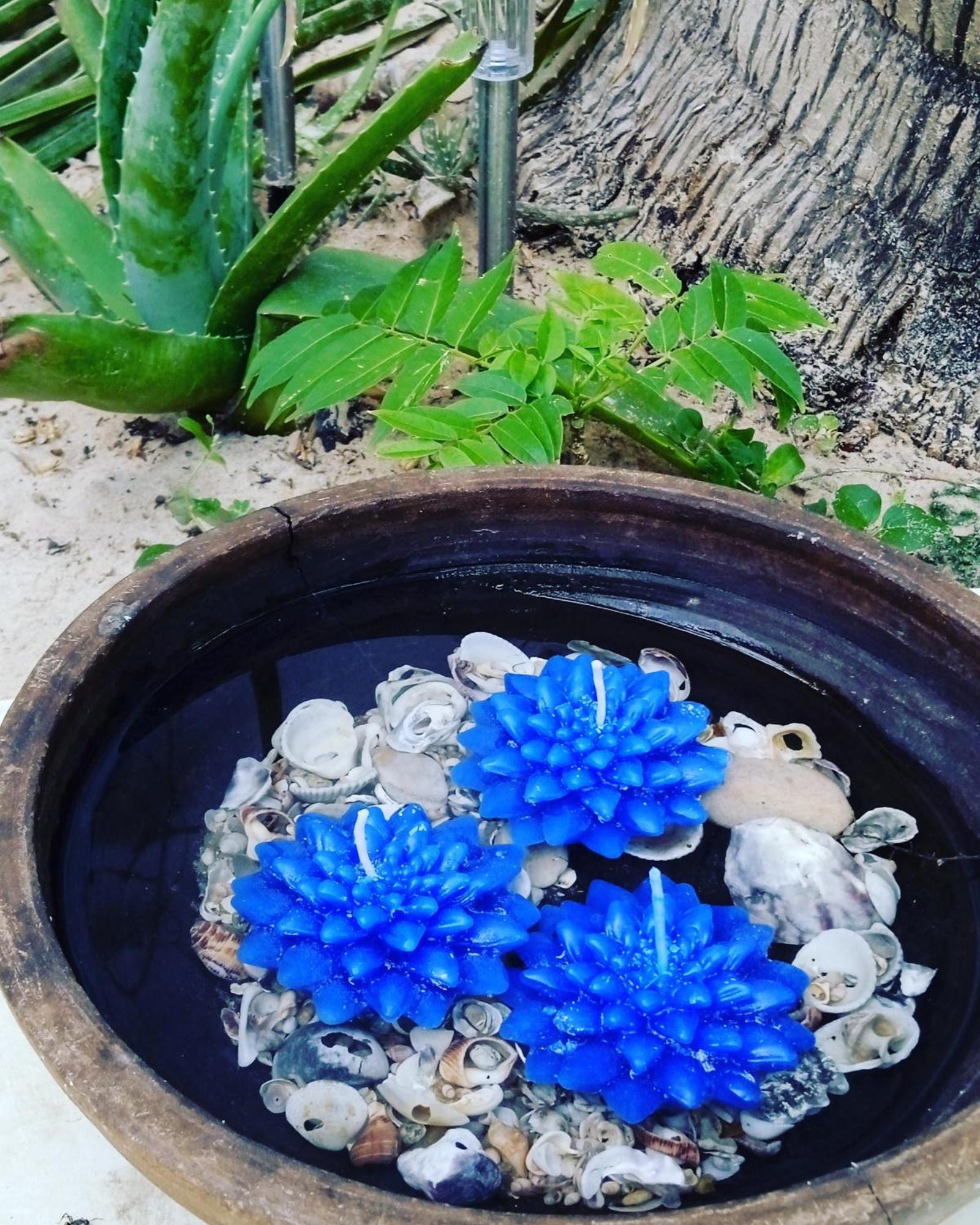 Chale Da Sereia Apart-Hotel Com Cozina Piscina Oasis No Centro De Jericoacoara 外观 照片